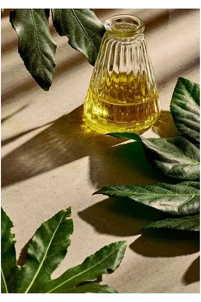 THE BODY SHOP Crema protectoare pentru maini Hemp 100ml