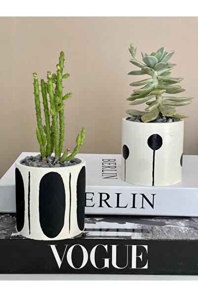 Hakdua Dizayn Premium 2li set Beton Saksıda Sukulent Ev Dekorasyon Hediyelik ...