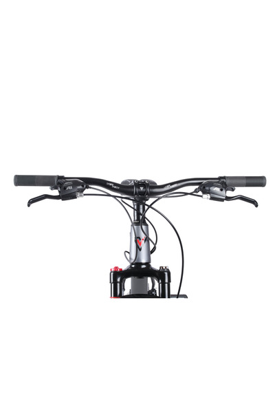 Vertech V0129GS VERTECH A 200 GALAXY 26 JANT 21 VİTES DISK FREN Alüminyum DAĞ BİSİKLETİ