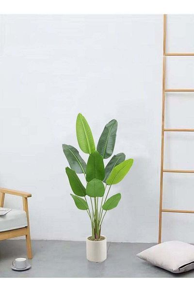 DRAMA HOME Banana Tree for Home Decor in White Pot 120cm