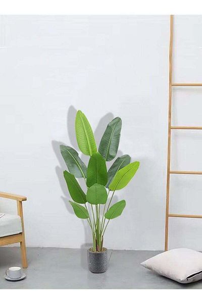DRAMA HOME Banana Tree for Home Decor in White Pot 120cm