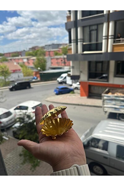 Hibana Gold Midye/ İstiridye Kahve Yanı Sunumluk/ Şekerlik/ Lokumluk / Drajel...