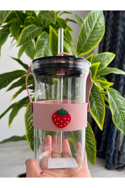 Decorland Glass Water Cup