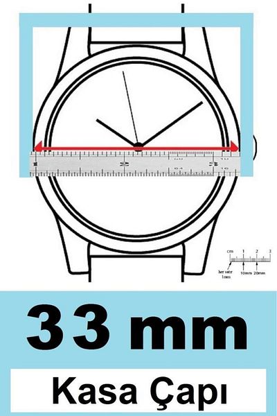 Ferrucci Fc.14304m.03 Women's Wristwatch