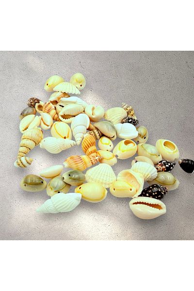 yiğit aksesuar 50Pcs Mixed Hole Seashell Jewelry Making Supplies