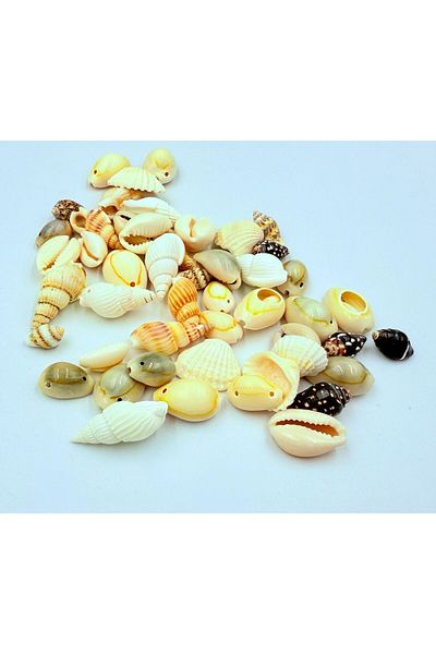yiğit aksesuar 50Pcs Mixed Hole Seashell Jewelry Making Supplies