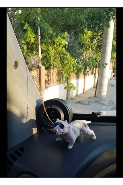 Nayino Pitpul Dog فوق التوربو داخل السيارة