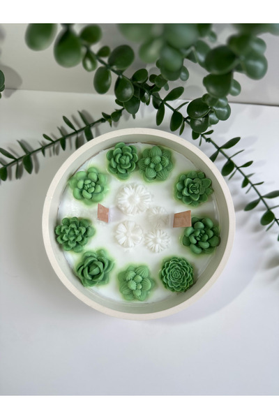 BinnazAyyıldız Skulent Bahçesi Soya mum