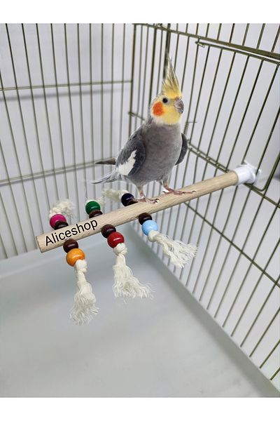 Alice Sultan Sevda Paradise and Budgie Natural Perch with Stress String and Beads