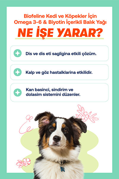 BioFeline Tüy Dökülme Engelleyici, Deri Ve Tüy Sağlığı Destekleyici Derma Kedi Maltı Macun + Omega 3 Somon Balık Yağı 200 ml Seti | Kedi Vitamini | Fish Oil | Anti Hairball