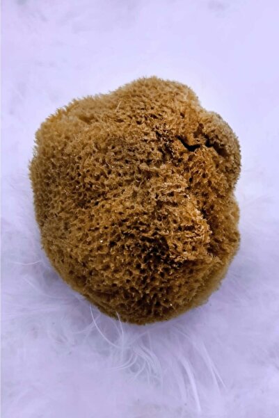 Genel Markalar Trendyol Promosyonu Ufak Deniz Süngeri + Büyük Deniz Süngeri