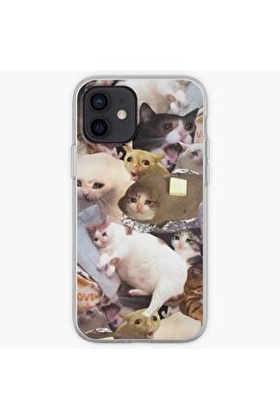 köpek ve kedi memleri