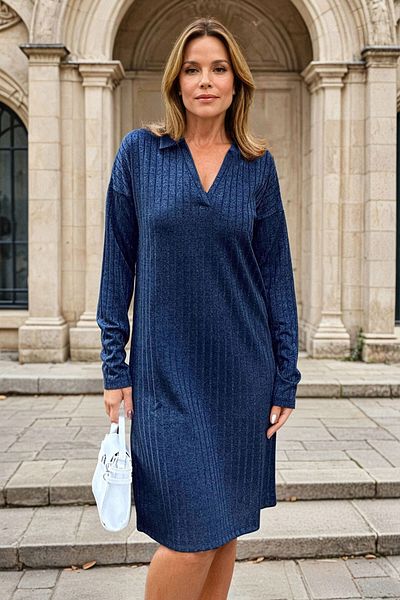 bacc Women's Navy Blue Polo Neck Loose Self-Patterned Glitter Dress Bcbsk-25700-2988