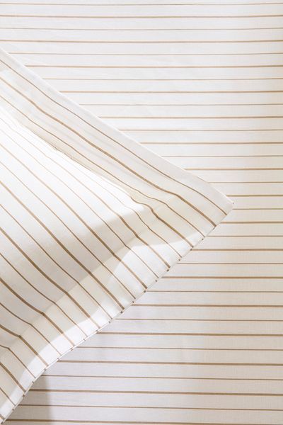 Kaşmir Home Moren 100% Cotton Double Bed Sheet Set Beige