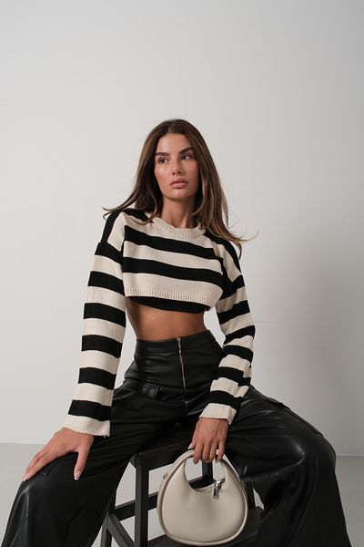 Black Fashion Black Striped Crop Sweater - Stone Color