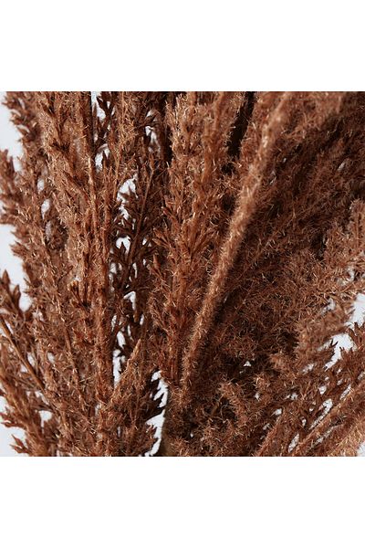 Homelux Plantă Decor Pampas 117 cm, maro