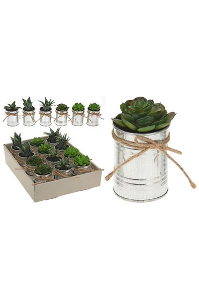 Homelux Planta decorativa in ghiveci, 7x7x12 cm, disponibila in 6 variante