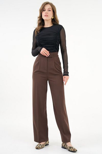 Saade Brown High Waist Velcro Closure Single Pleat Woven Palazzo Trousers