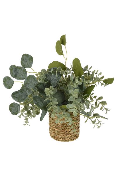Homelux Planta decorativa in cos, 13x6 cm, iarba de mare/natura, disponibila in 4 variante