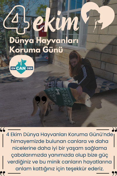 4 EKİM KARTI