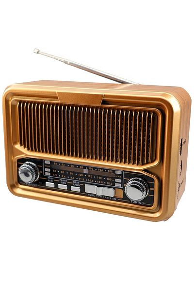 Denx راديو هاي فاي، FM/AM/SW، مشغل USB/TF/BT، بطارية قابلة لإعادة الشحن DX2445