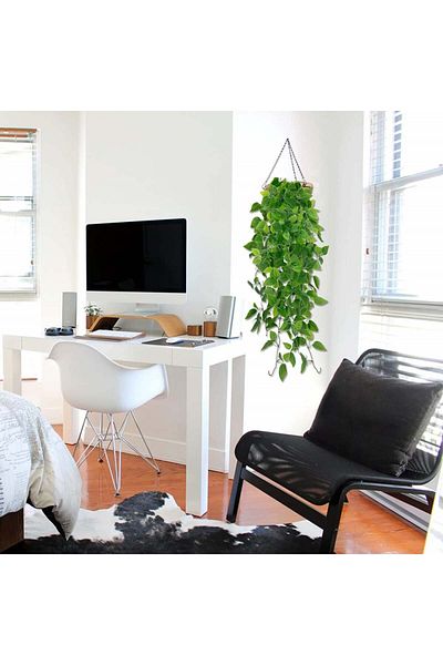 sinzau Set of 2 artificial hanging ivy plants Sinzau, plastic/iron, green, 90 cm