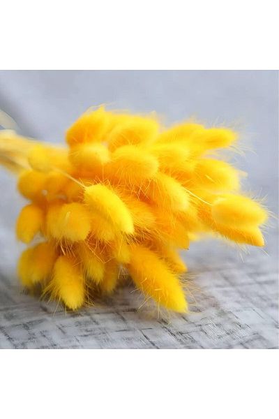 Dxinye Buchet de flori uscate de pampas, 40 de fire, galbene, 40 cm