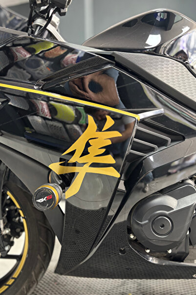 Banxtre شعارات هايابوسا كبيرة الحجم بلون ذهبي غير لامع للدراجات النارية (مجمو...