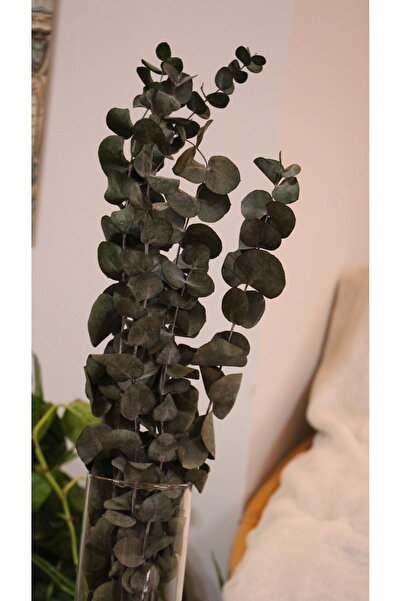 Butik KURUTULMUŞ ÇİÇEK