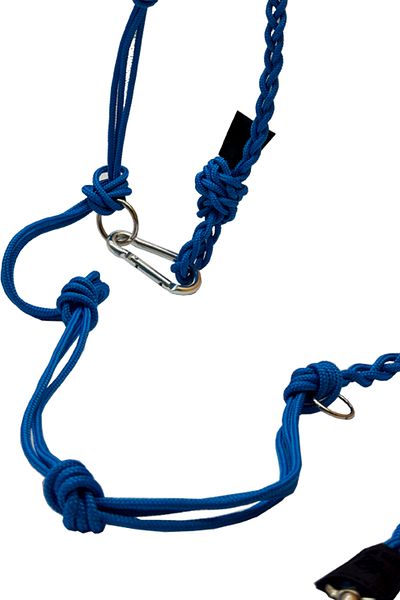 PETSWUU Blue Dog Hands Free Running and Walking Walking Strap Collar