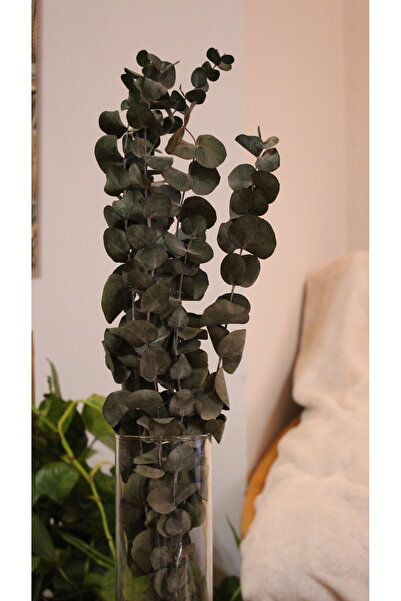 Butik KURUTULMUŞ ÇİÇEK