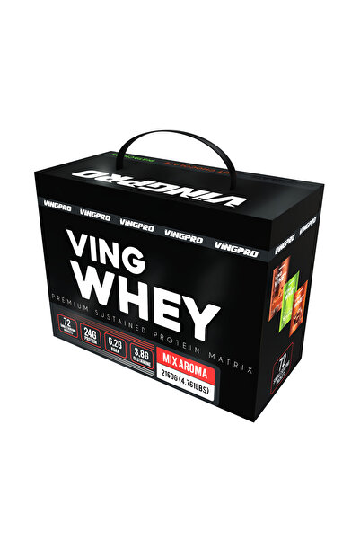 vingpro VİNGPRO 30gr ŞASE 72 SERVİS MİX WHEY PROTEİN TOZU