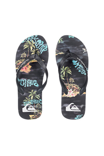 Quiksilver Molokai Art 25 Men's Black Slippers Men's Slippers Aqyl101430
