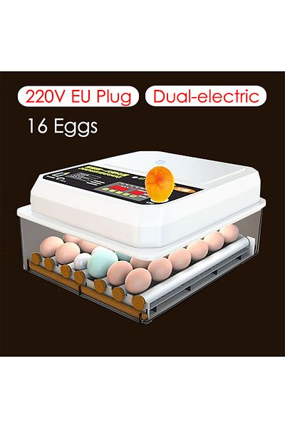 Choice 16 Eggs EU 220V 16 Eggs Farm Poultry Fully Automatic Turning Egg Incubator Dual-Electric Mini Househ