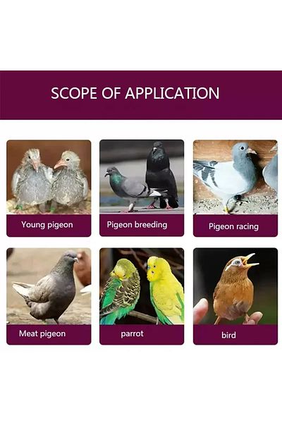 Choice Young Pigeon Growth Pills Nutritional Health Supplies Pigeon Conditioning Feed Brood Treasure Fea...