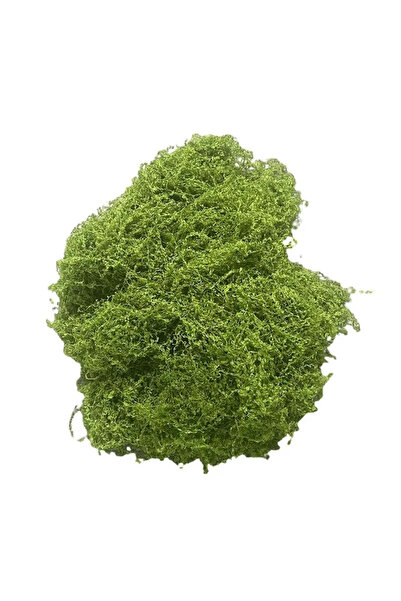 Choice طحلب أخضر اصطناعي 30 جرام، طحلب أخضر صناعي للنباتات المزروعة في أوعية،...