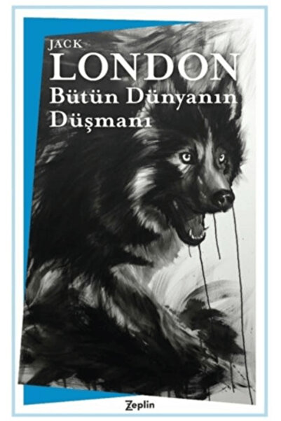 Zeplin Kitap Bütün Dünyanın Düşmanı