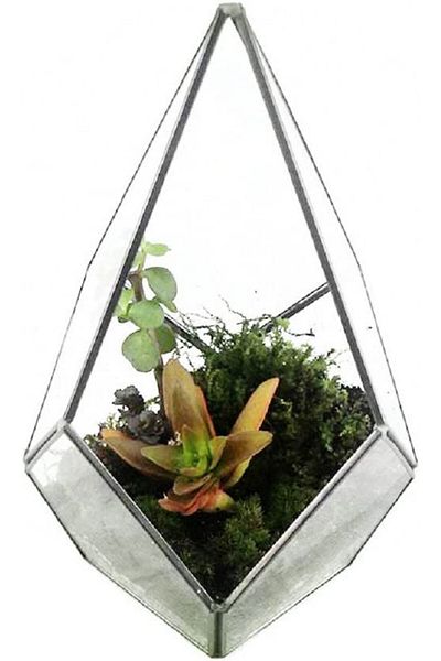 Asvert Suport decorativ pentru plante, sticlă/metal, negru/transparent, 12 x 12 x 17 cm