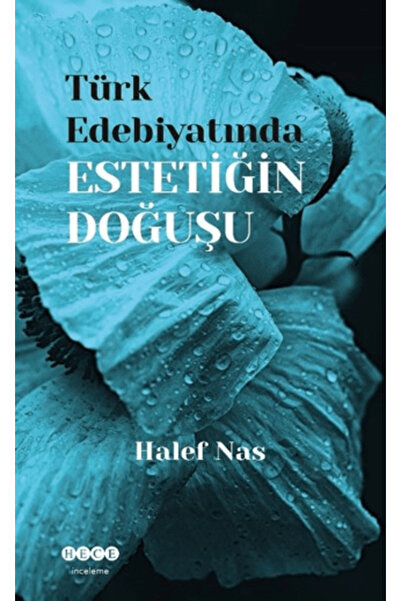 Hece Yayınları Türk Edebiyatında Estetiğin Doğuşu