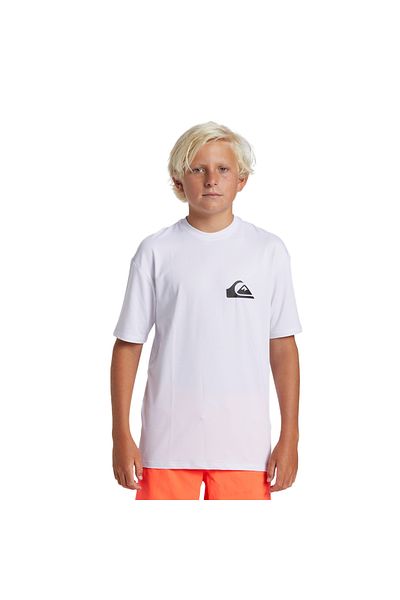 Quiksilver Everyday Surf Tee Ss Youth Boy Lycra Aqbwr03067