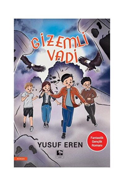 Çınaraltı Yayınları Gizemli Vadi / / Yusuf Eren