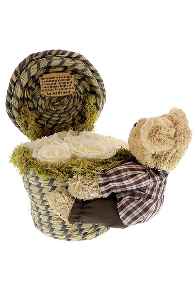 GiftExpress Basket with Cryogenic Roses and Teddy Bear