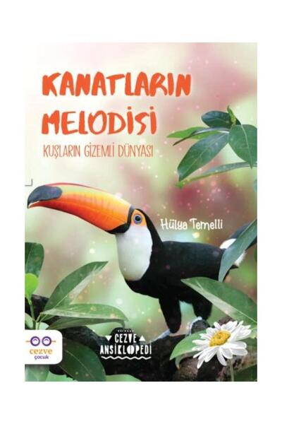 Cezve Çocuk Kanatların Melodisi Kuşların Gizemli Dünyası / / Hülya Temelli