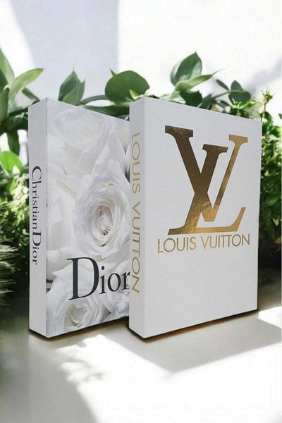BayCazip Decorative Book Look Box Set of 2 Decorative Book Looking Box