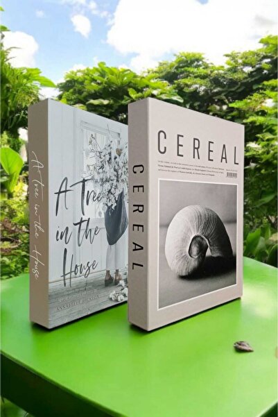 BGV HOME Decorative Book Look Openable Box 2 Pieces