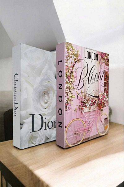 BayCazip Decorative Book Look Box Set of 2 Decorative Book Looking Box