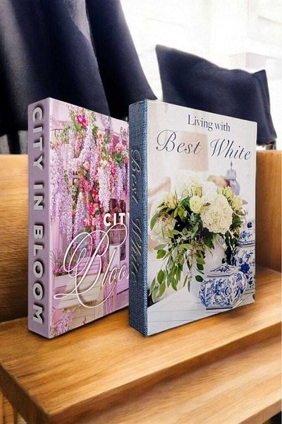 BayCazip Decorative Book Look Box Set of 2 Decorative Book Looking Box