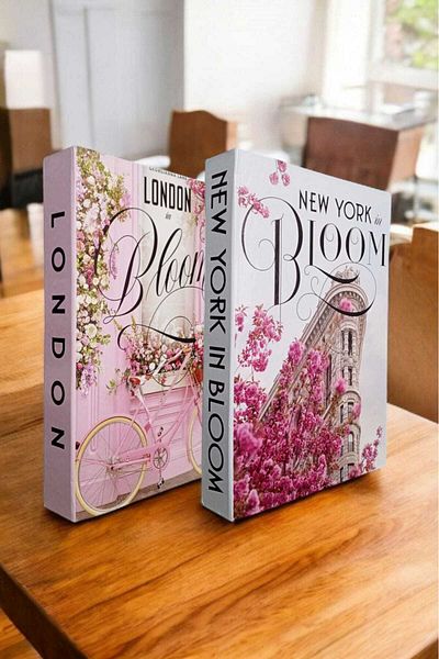 BayCazip Decorative Book Look Box Set of 2 Decorative Book Looking Box