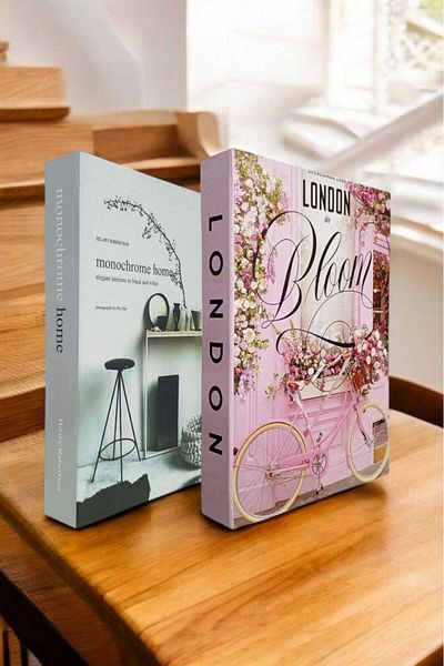 BayCazip Decorative Book Look Box Set of 2 Decorative Book Looking Box