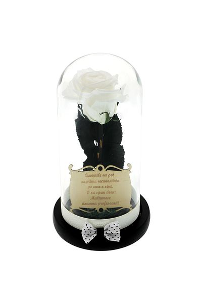 GiftExpress Teacher gift: white cryogenic rose under the dome with a message
